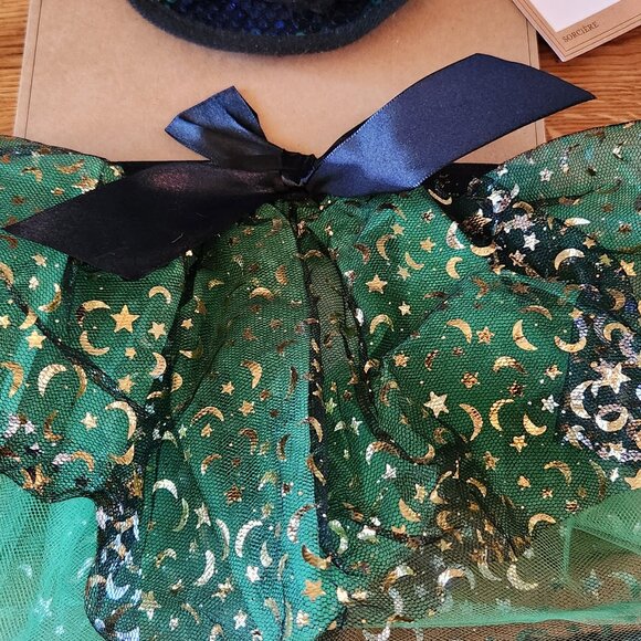 L/LG Dog Sparkly Witch costume - Picture 3 of 5